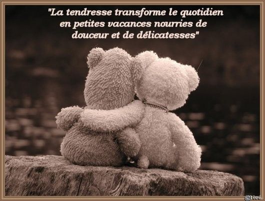 Images Tendresse 
